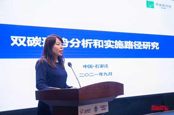 雙碳形勢(shì)分析和實(shí)施路徑研究